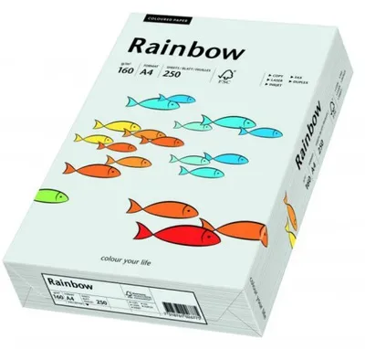 Prece Krāsains papīrs A4 Rainbow 160g, 250lp, Nr.93 light grey Attēls