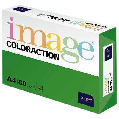 Prece Krāsains papīrs A4 Image 80g/500lp Dublin intensīvi zaļš Attēls
