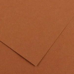 Prece Kartons 70x100 A0 270g Clairefontaine t. brūns Attēls