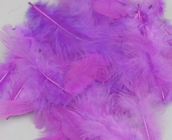 Prece Dekoratīvas spalvas violetas 10 g Attēls