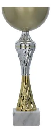 Prece Kauss-balva W2226A-29cm,zelts/sudrabs ar matētu kausa daļu Attēls