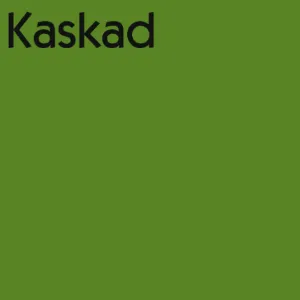 Prece Krāsains papīrs KASKAD 225g/m2, 64x90cm, 1 loksne, woodpecker green Attēls
