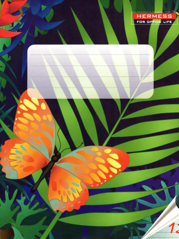 Prece Burtnīca šķērs-šaurlīniju 170 x 200 mm,12 lapas Attēls