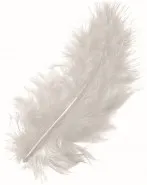 Prece Dekoratīvas marabu spalvas baltas 10cm, 15gab. Attēls