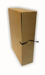 Prece Arhīva kaste 320x235x100mm ar saitēm un pogu Attēls