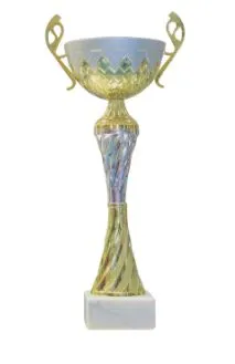 Prece Kauss-balva NT1026B 34cm, zelts/sudrabs Attēls