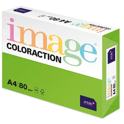 Prece Krāsains papīrs A4 Image 80g/500lp Java/Dark Green Attēls