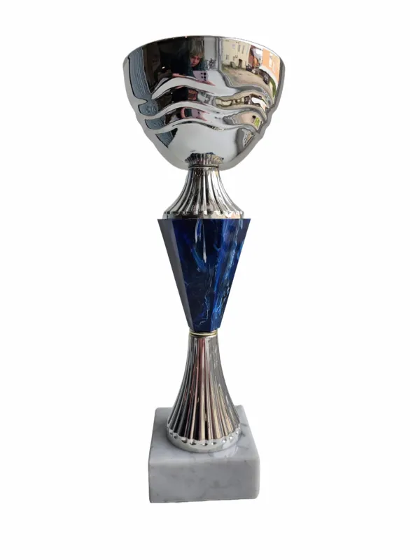Prece Kauss 96311S 27cm, sudrabs/zils Attēls