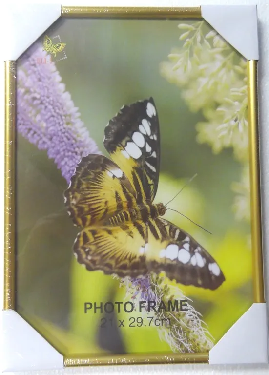 Prece Foto rāmis 21 x 30cm plastika zelts Attēls
