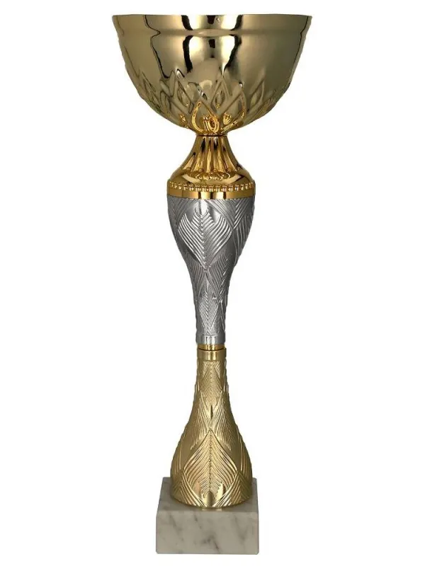 Prece Kauss-balva 9266C 30cm, zelts/sudrabs Attēls